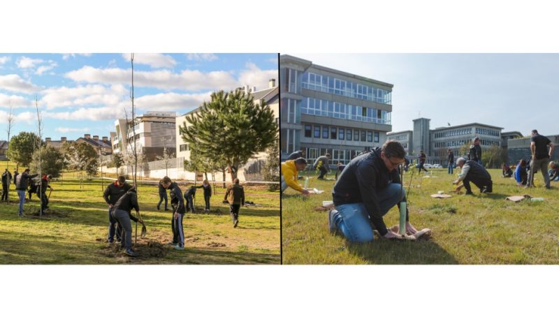 Ceratizit celebra i 100 anni piantando 100 alberi nel Sud Europa